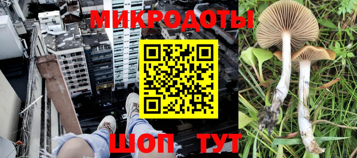 Донской  Галлюциногенные грибы GOLDEN TEACHER  Вход с VPN 