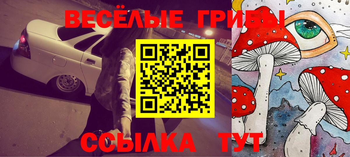 Псилоцибиновые грибы мухоморы Донской